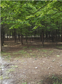 �Ϸʹ��I��W����������ľ�����u���Ŀ