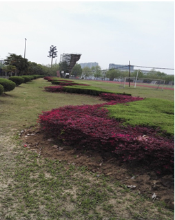 �Ϸʹ��I��W����������ľ�����u���Ŀ