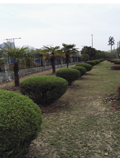 �Ϸʹ��I��W����������ľ�����u���Ŀ