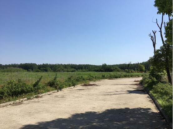 xxx���޹�˾���ٵ���ľ�����䡢�����Ｐ�������Ј��r���b��