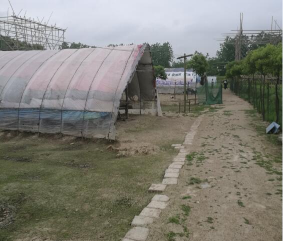 κ��·����߅�Ŀ���O�漰λ�ںϷ���վ�_�l�^ĥ����^�غӴ��غӴ�����۫����M�Ϸ���վ�^���I�����Bֳ����ľ���������u��