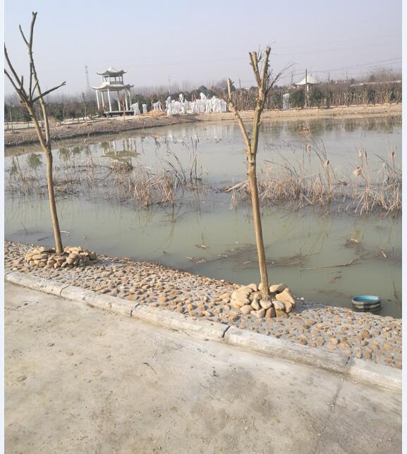 �|�����������·��-���^��·�����O�Ŀ�漰λ�ںϷ���վ�_�l�^ĥ����^�غӴ尲������@�����޹�˾��ľ���������u��