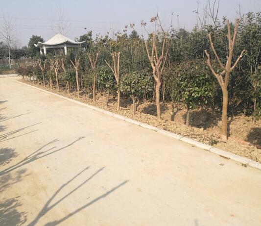 �|�����������·��-���^��·�����O�Ŀ�漰λ�ںϷ���վ�_�l�^ĥ����^�غӴ尲������@�����޹�˾��ľ���������u��