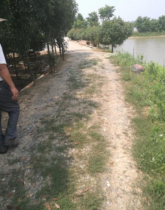 ����·������ɽ·������܊�X·���Ŀ���O�漰λ�ںϷʸ��^(q��)�µ��ĺϷʱ�����ľ�������޹�˾���ݼ���������u��