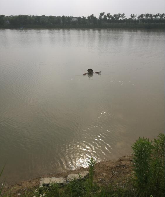 ����·������ɽ·������܊�X·���Ŀ���O�漰λ�ںϷʸ��^(q��)�µ��ĺϷʱ�����ľ�������޹�˾���ݼ���������u��