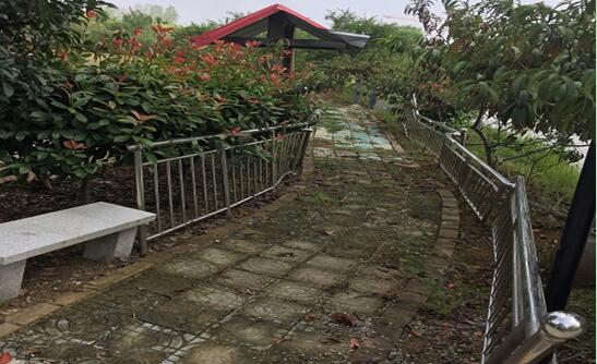 ���Ϸ���վ���¼��g�a�I�_�l�^**������e���޹�˾�����ټ��w�����ϵķ��ݡ���ľ����������Y�a�Ј��rֵ�u�����Ŀ����