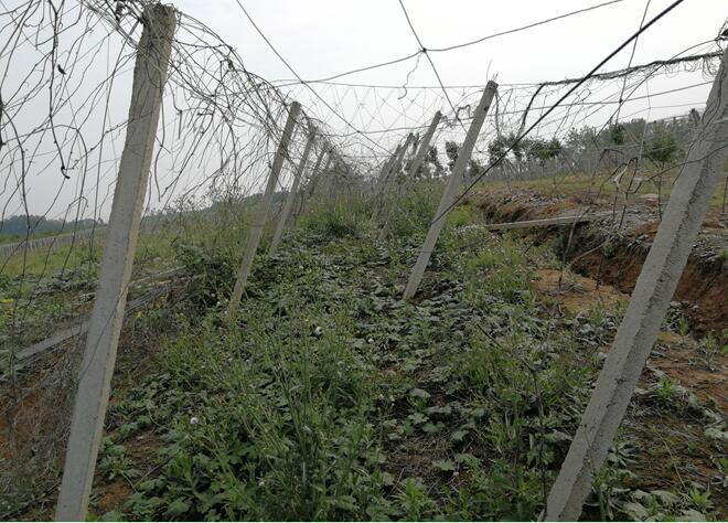 �����h**�l(xi��ng)**����V��pʧ�r���u��