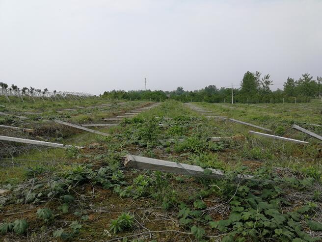 �����h**�l(xi��ng)**����V��pʧ�r���u��