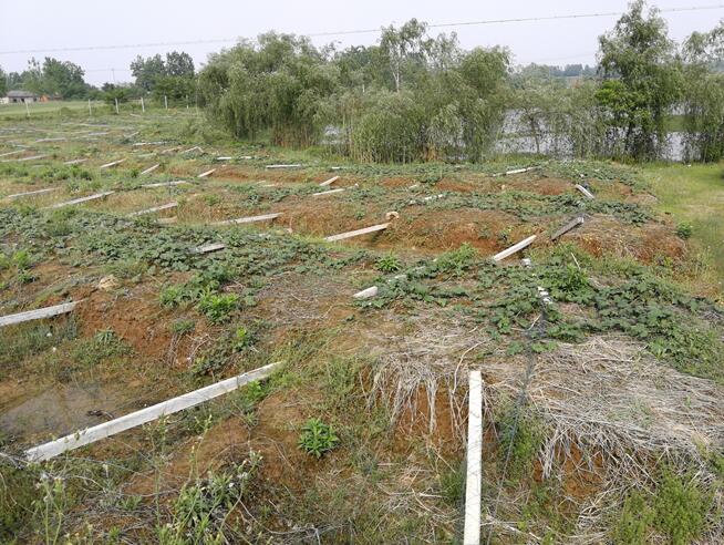 �����h**�l(xi��ng)**����V��pʧ�r���u��