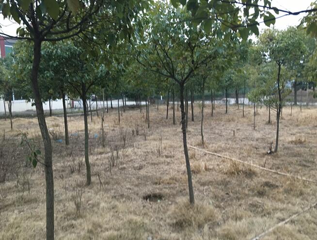 **���޹�˾���е�λ�ڮ�Ϳ�h**悹��I�@���ڹ��I�õء����a���������C���a���o�C���a�����������ľ���k����Ʒ���O�估ģ���Ј��rֵ�u��