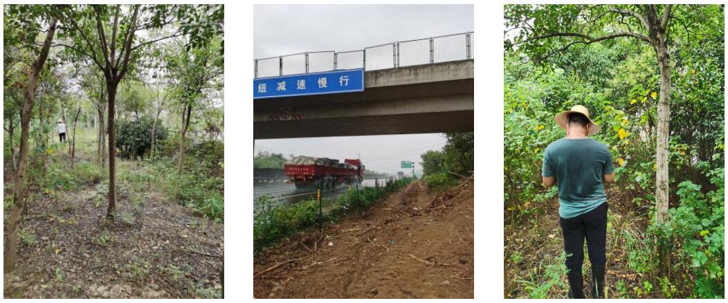 �Ϸ����L(zh��ng)�S�h�����~���ٸĔU(ku��)�����̸����������a(b��)���r(ji��)���u(p��ng)��