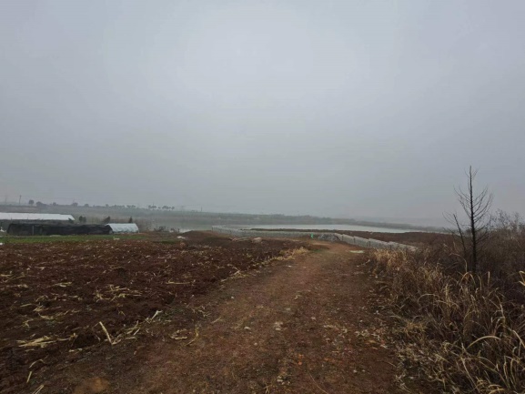 �Ϸ�******���޹�˾���O��λ�ںϷ��з����h��ͤ��S���ٵ���@�����깤���Ј��rֵ�u��